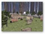 csp_paintball